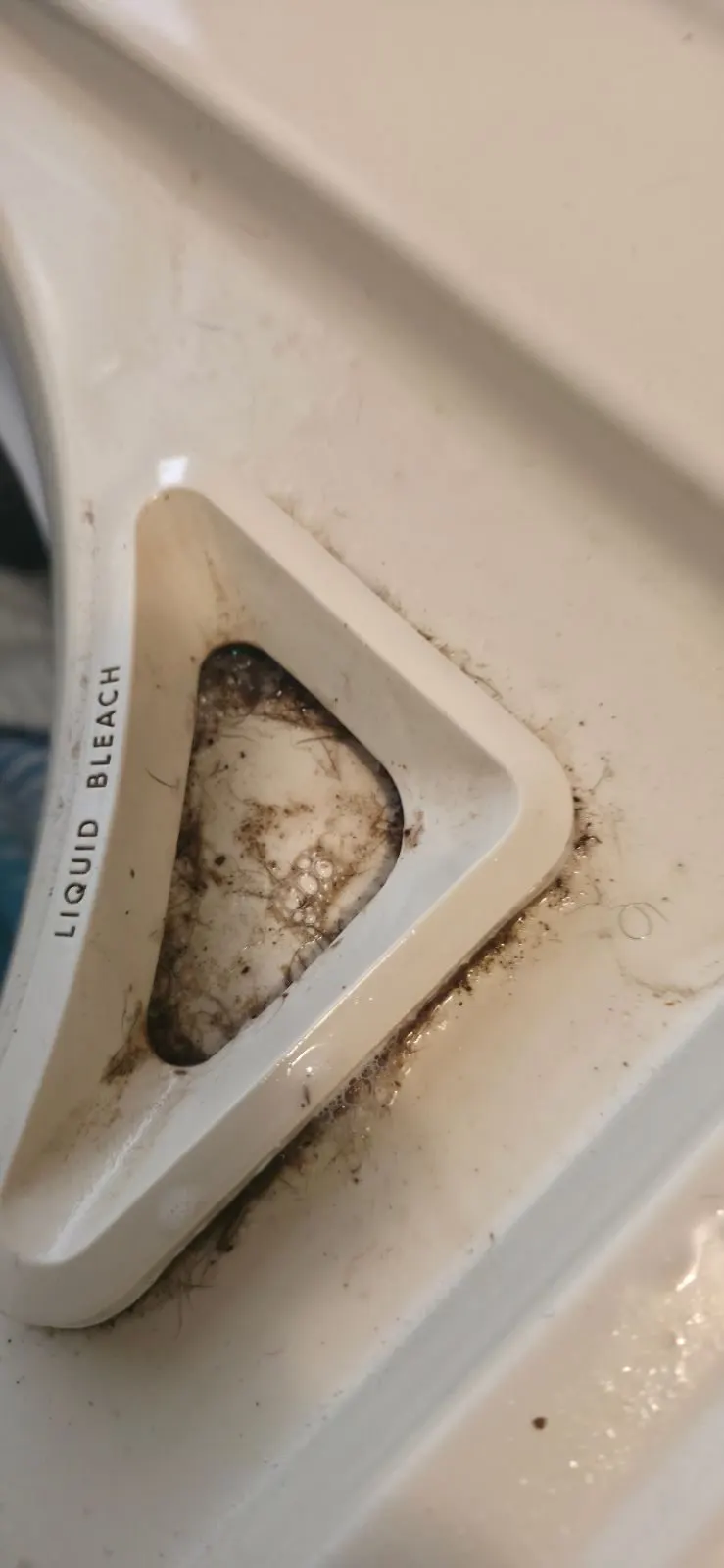 Before — House Cleaning in Sacramento, CA — July 2026
