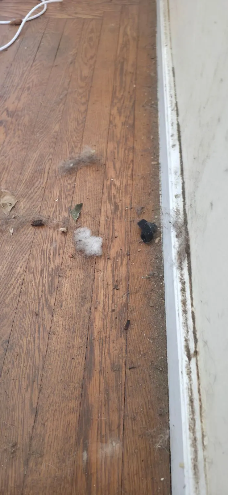 Before — House Cleaning in Sacramento, CA — July 2026