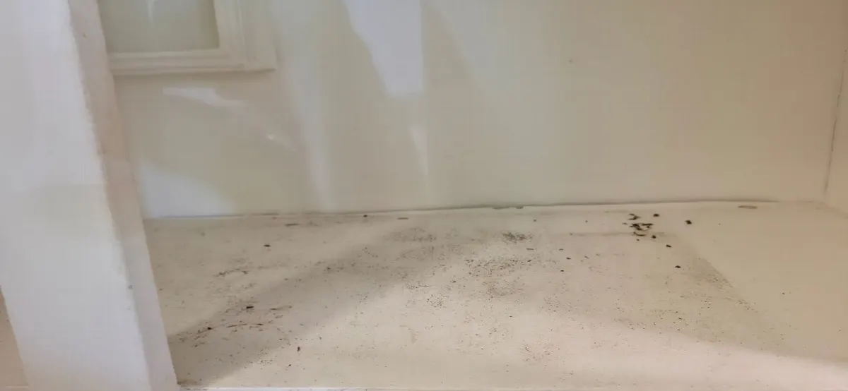 Before — House Cleaning in Sacramento, CA — July 2026