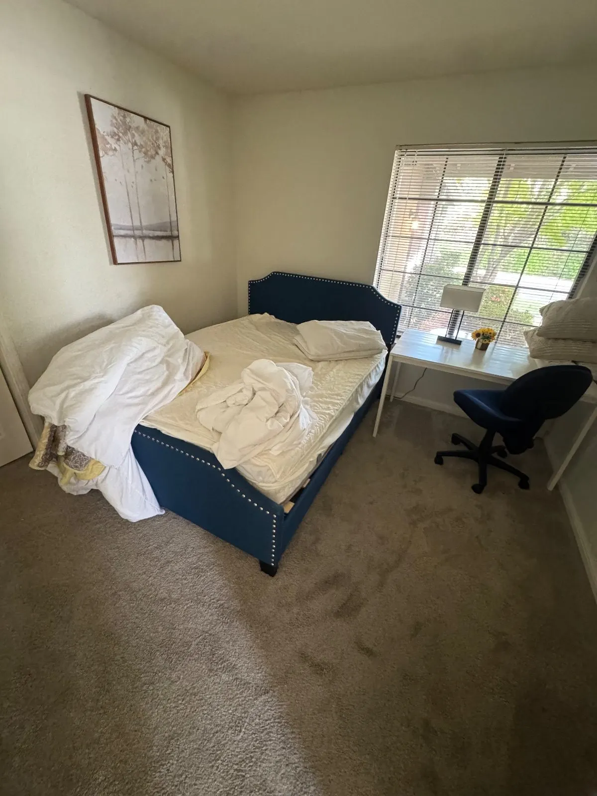 Before — House Cleaning in Folsom, CA — October 2026
