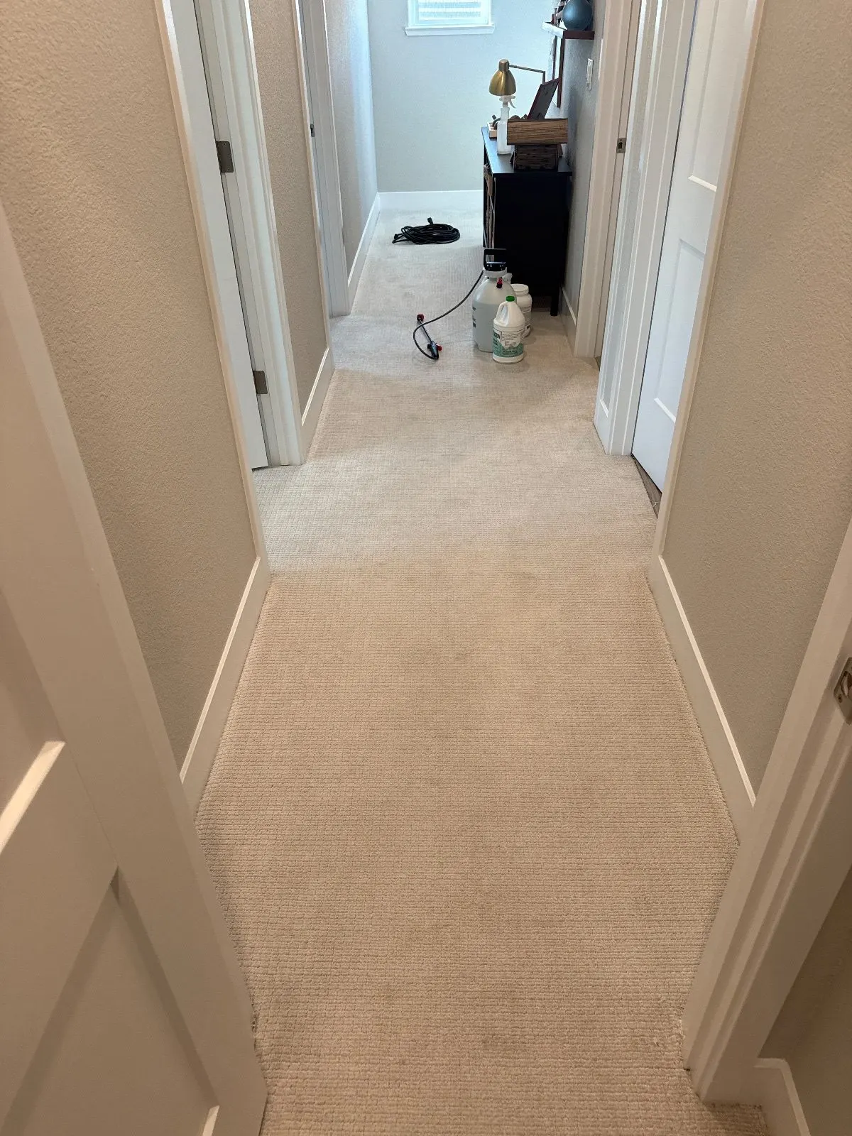 After — Carpet Cleaning in Rocklin, CA — October 2026