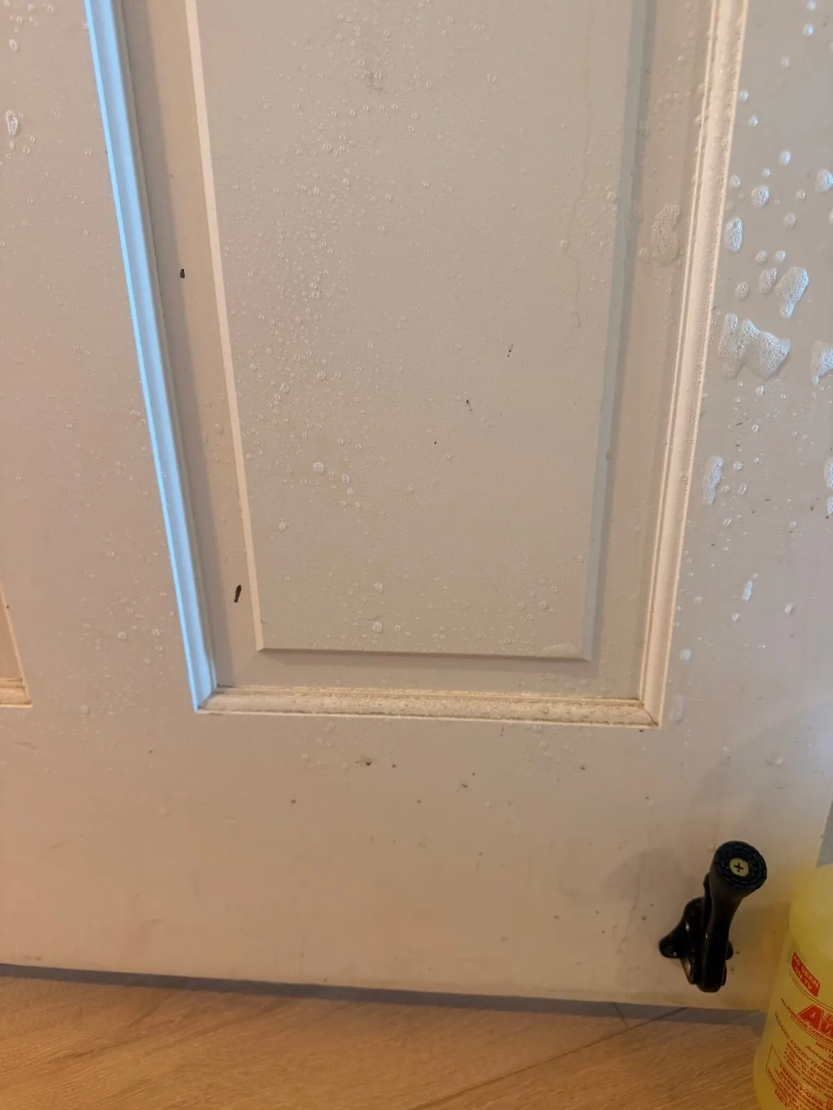 Before — House Cleaning in Sacramento, CA — October 2026