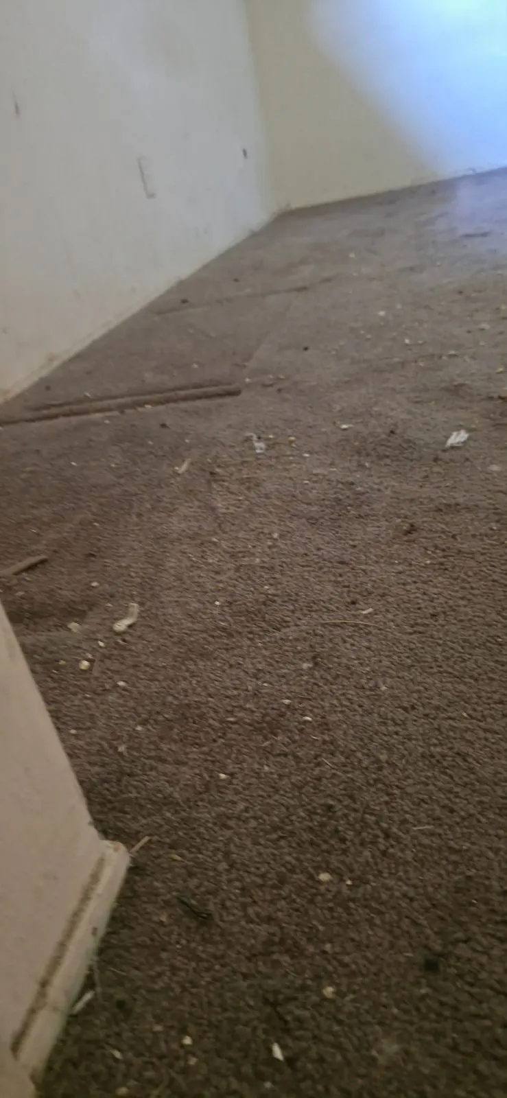 Before — House Cleaning in Sacramento, CA — July 2026