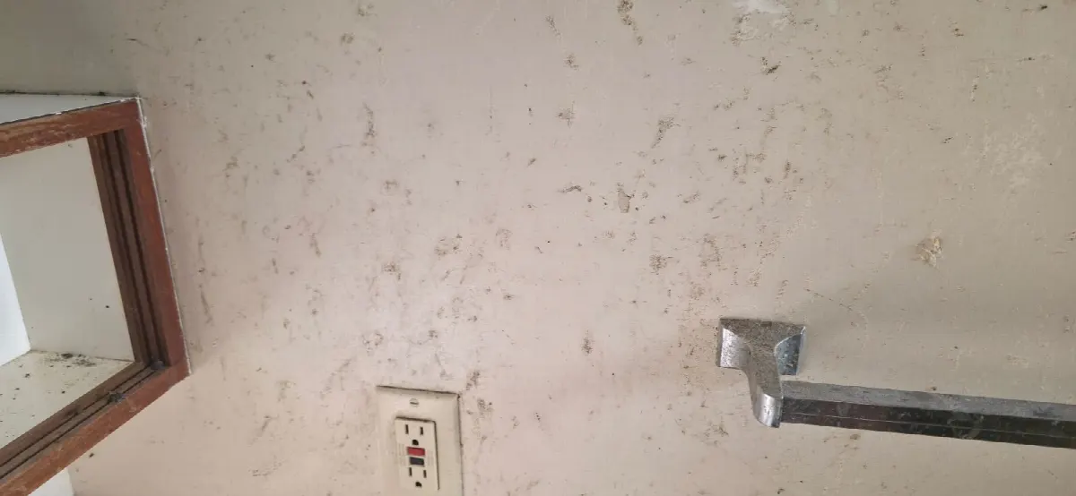 Before — House Cleaning in Sacramento, CA — July 2026