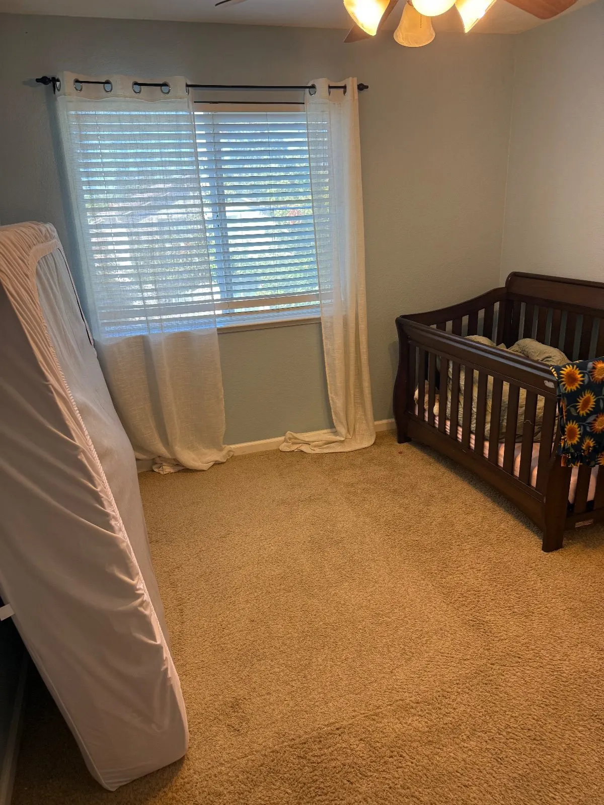 Before — House Cleaning in Folsom, CA — October 2026