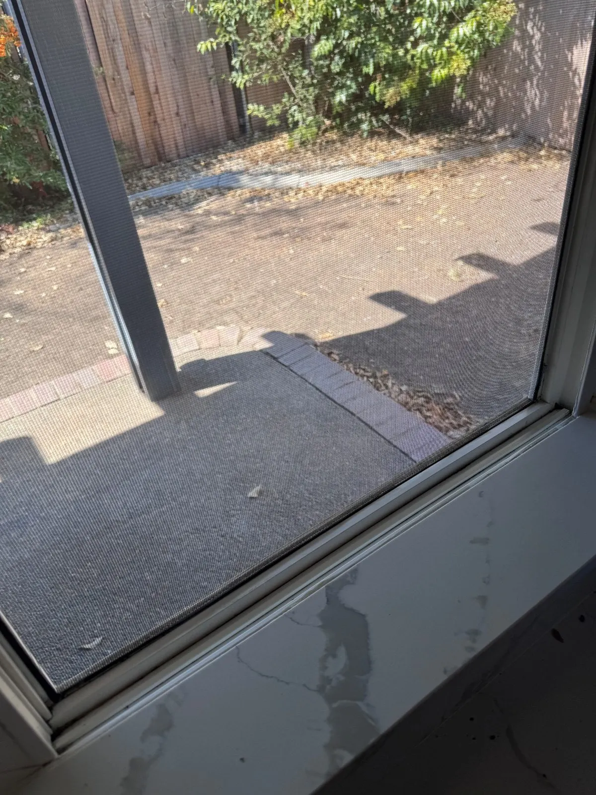 After — House Cleaning in Rancho Cordova, CA — October 2026