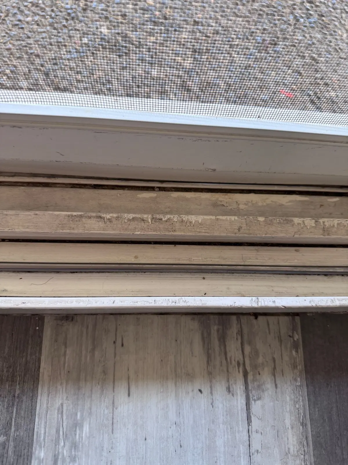 After — House Cleaning in Rancho Cordova, CA — October 2026