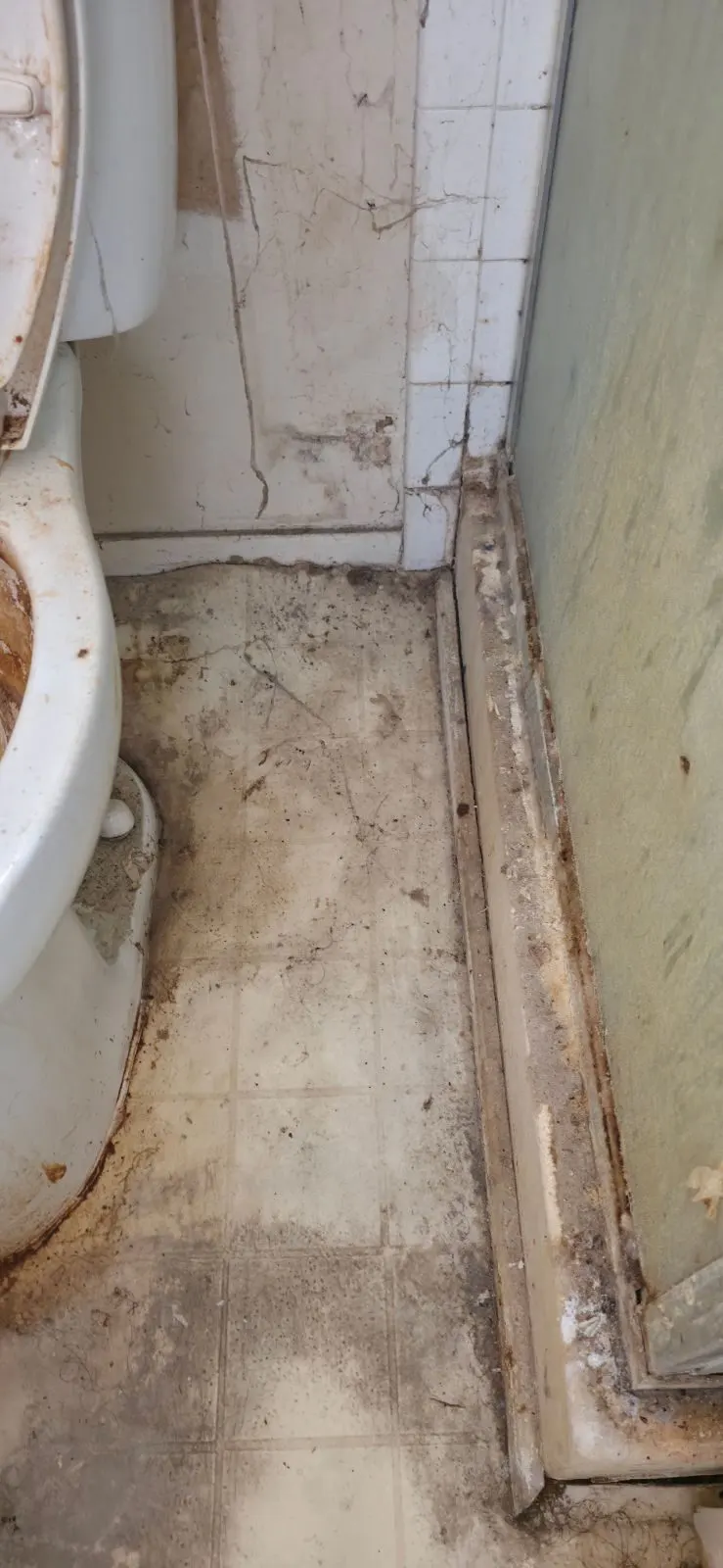 Before — House Cleaning in Sacramento, CA — July 2026
