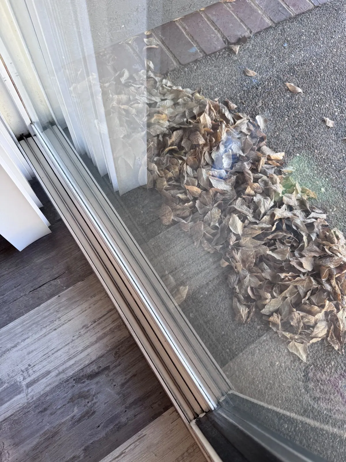 After — House Cleaning in Rancho Cordova, CA — October 2026