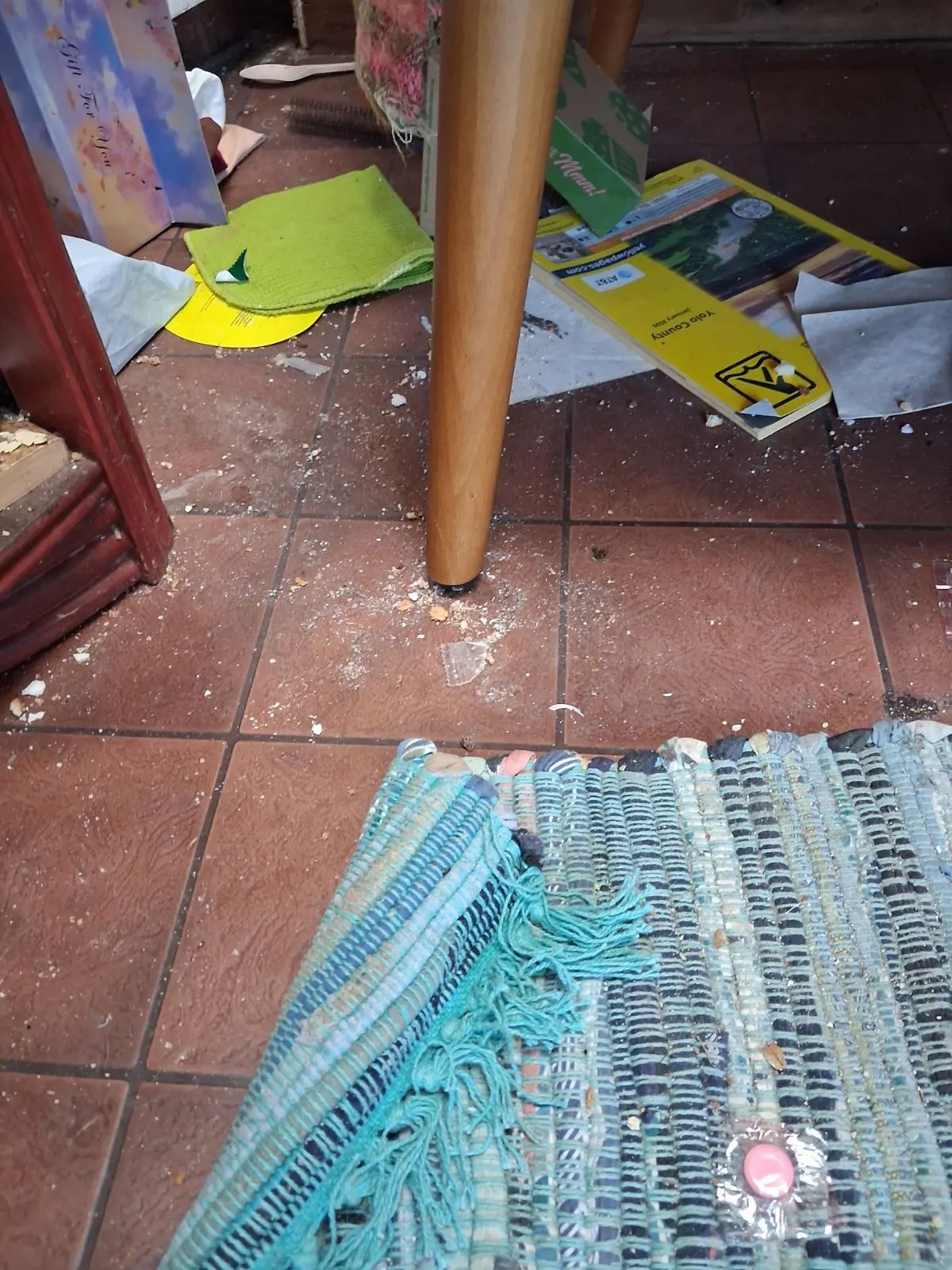 Before — House Cleaning in Davis, CA — October 2026