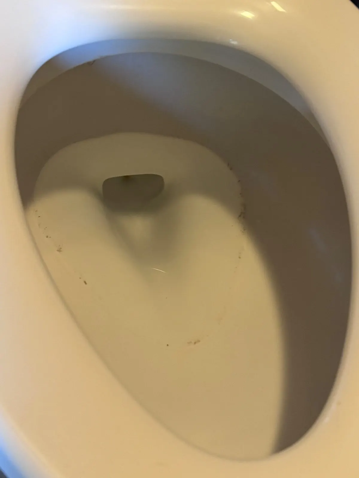 Before — House Cleaning in Lincoln, CA — October 2026