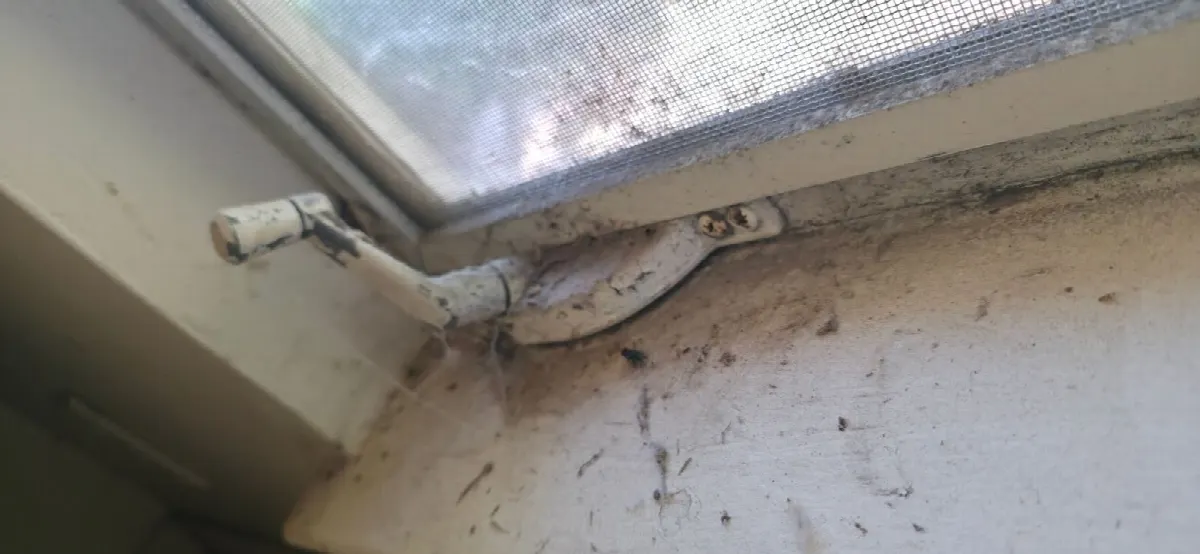 Before — House Cleaning in Sacramento, CA — July 2026