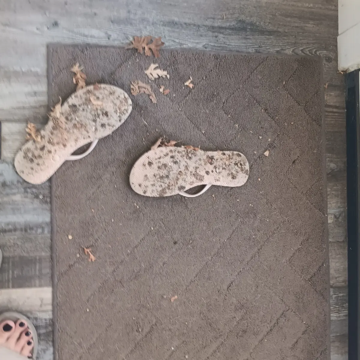 Before — House Cleaning in Sacramento, CA — October 2026