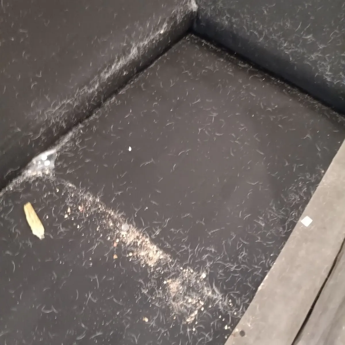 Before — House Cleaning in Sacramento, CA — October 2026