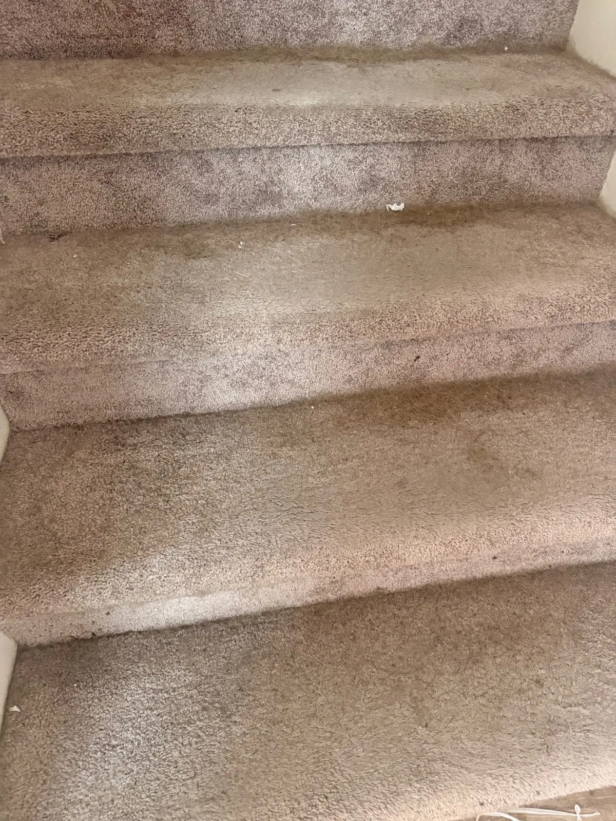 Before — House Cleaning in Sacramento, CA — October 2026