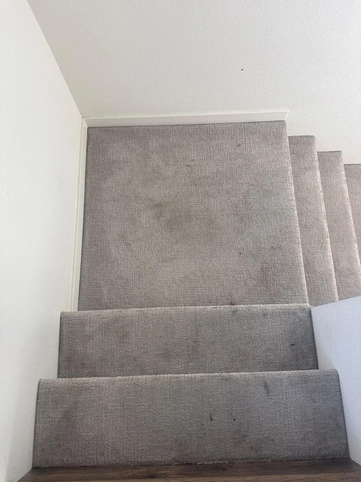 Before — Carpet Cleaning in Sacramento, CA — October 2026