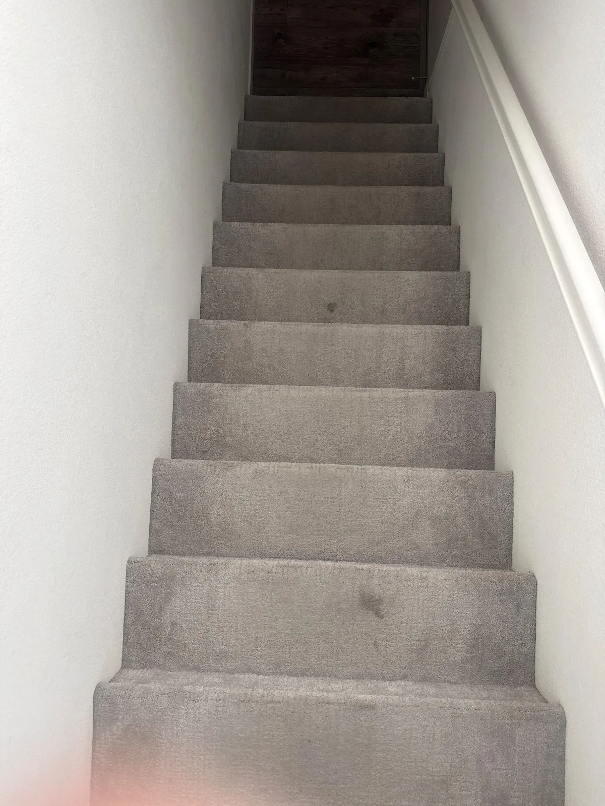 Before — Carpet Cleaning in Sacramento, CA — October 2026
