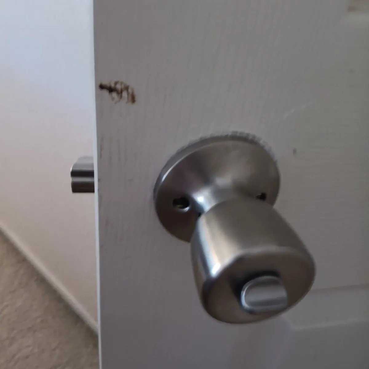 Before — House Cleaning in Folsom, CA — October 2026