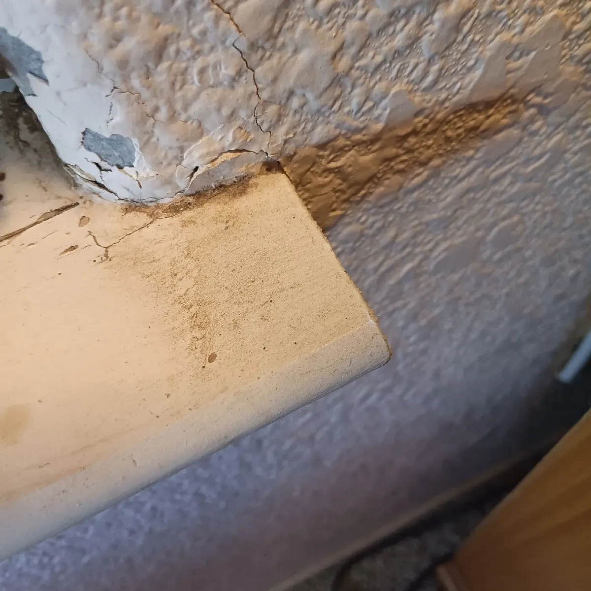 Before — House Cleaning in Folsom, CA — October 2026