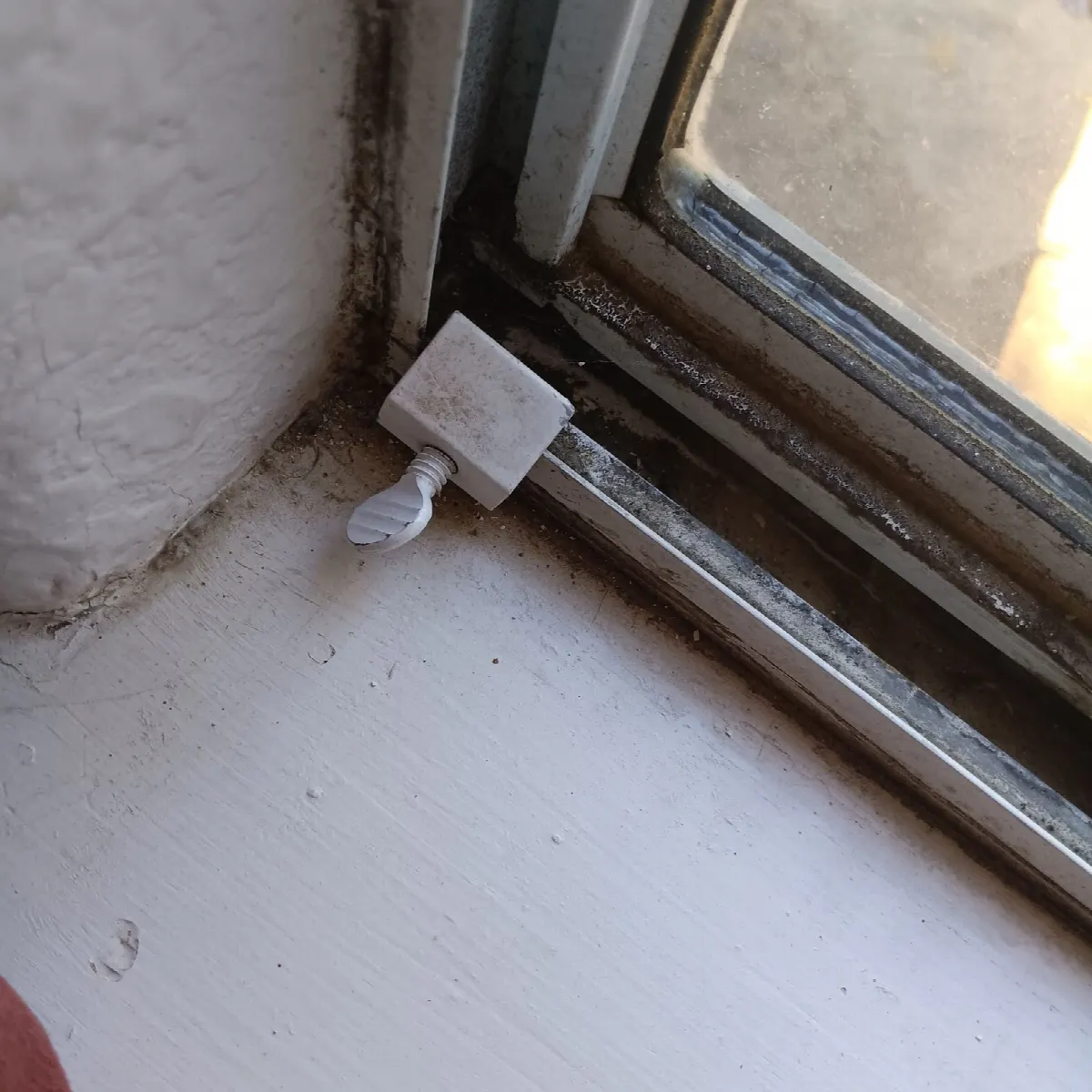Before — House Cleaning in Folsom, CA — October 2026