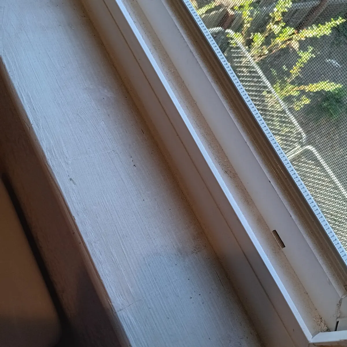 Before — House Cleaning in Folsom, CA — October 2026