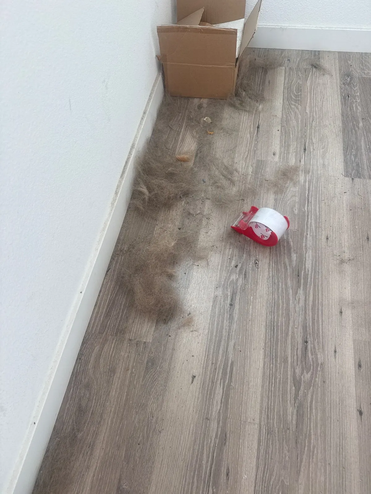 Before — House Cleaning in Sacramento, CA — October 2026