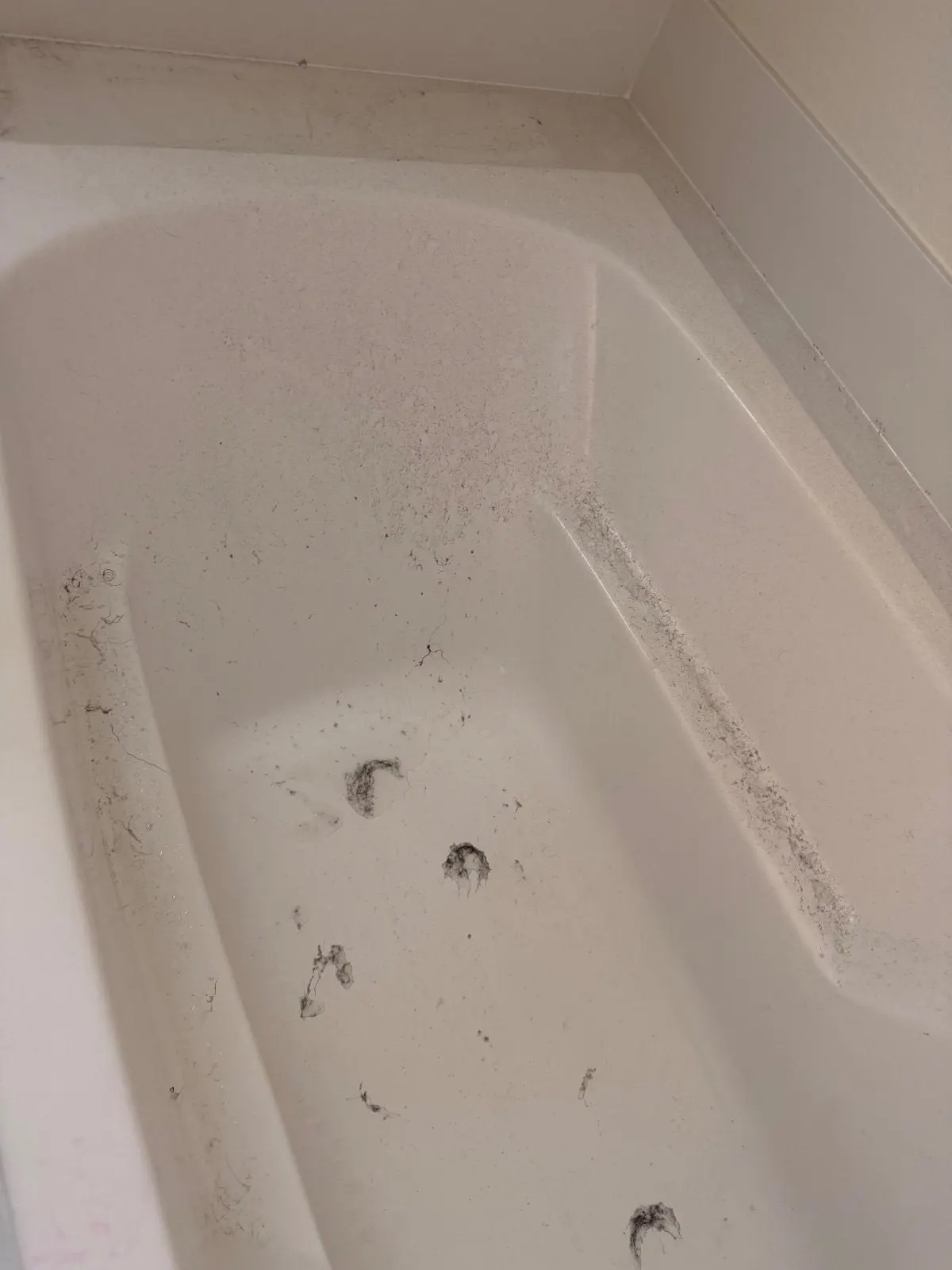 Before — House Cleaning in Sacramento, CA — October 2026