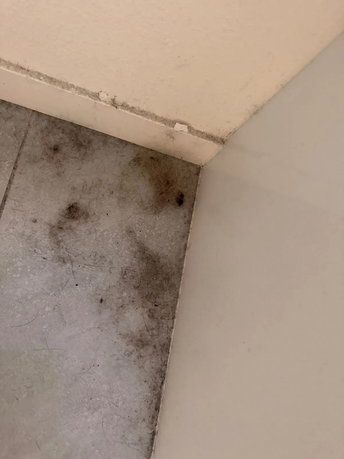 Before — House Cleaning in Sacramento, CA — October 2026