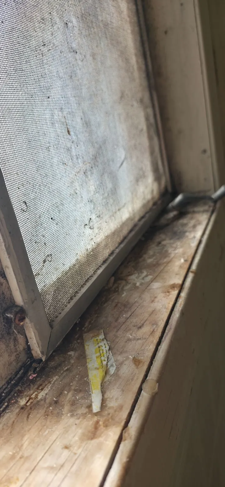 Before — House Cleaning in Sacramento, CA — July 2026
