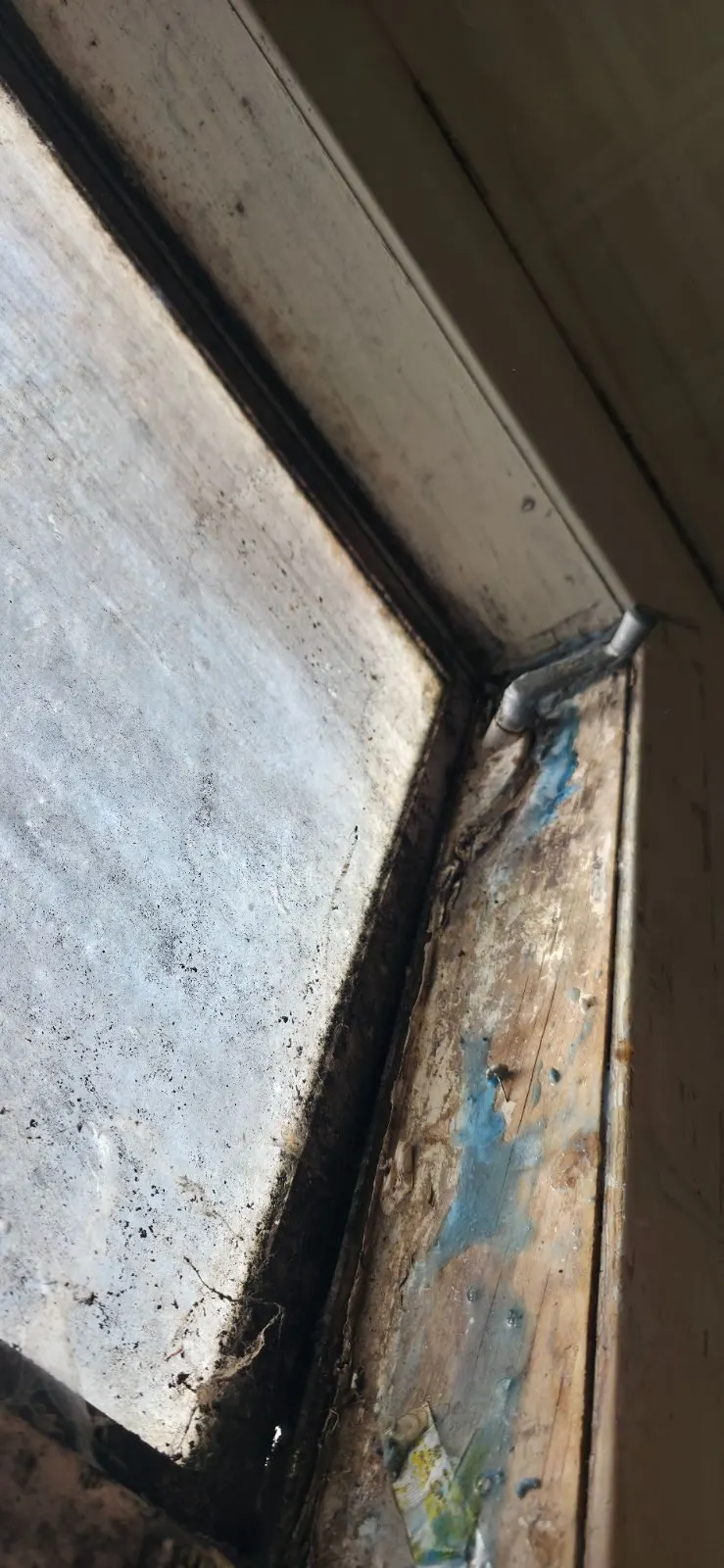Before — House Cleaning in Sacramento, CA — July 2026