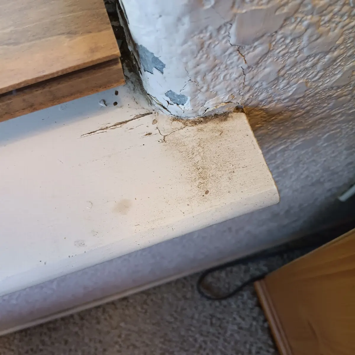 Before — House Cleaning in Folsom, CA — October 2026