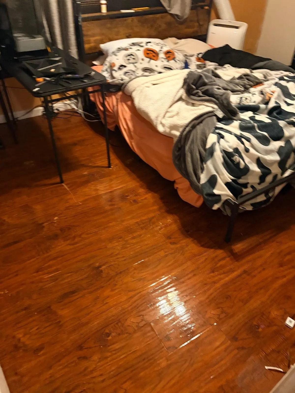 After — House Cleaning in Sacramento, CA — October 2026