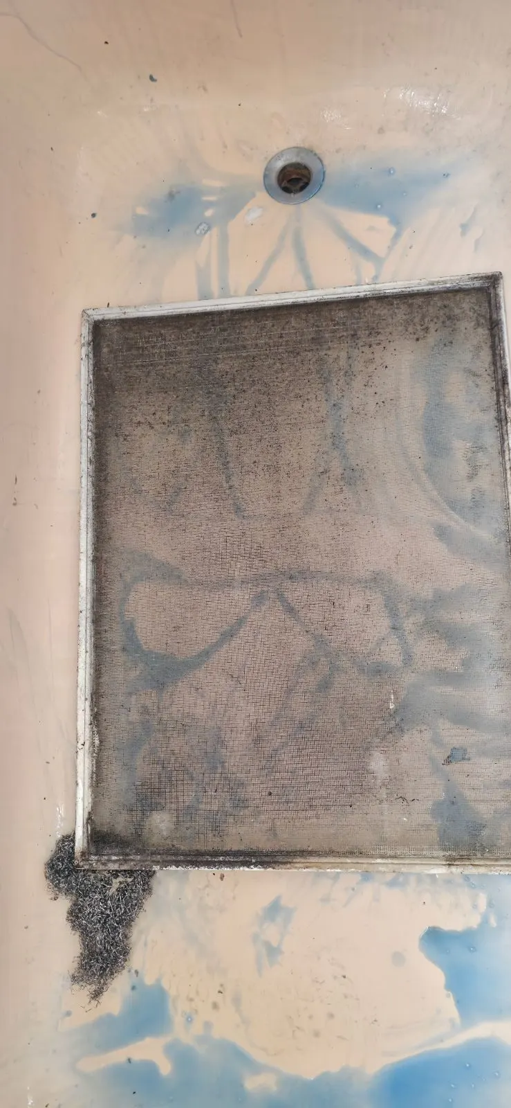 After — House Cleaning in Sacramento, CA — July 2026