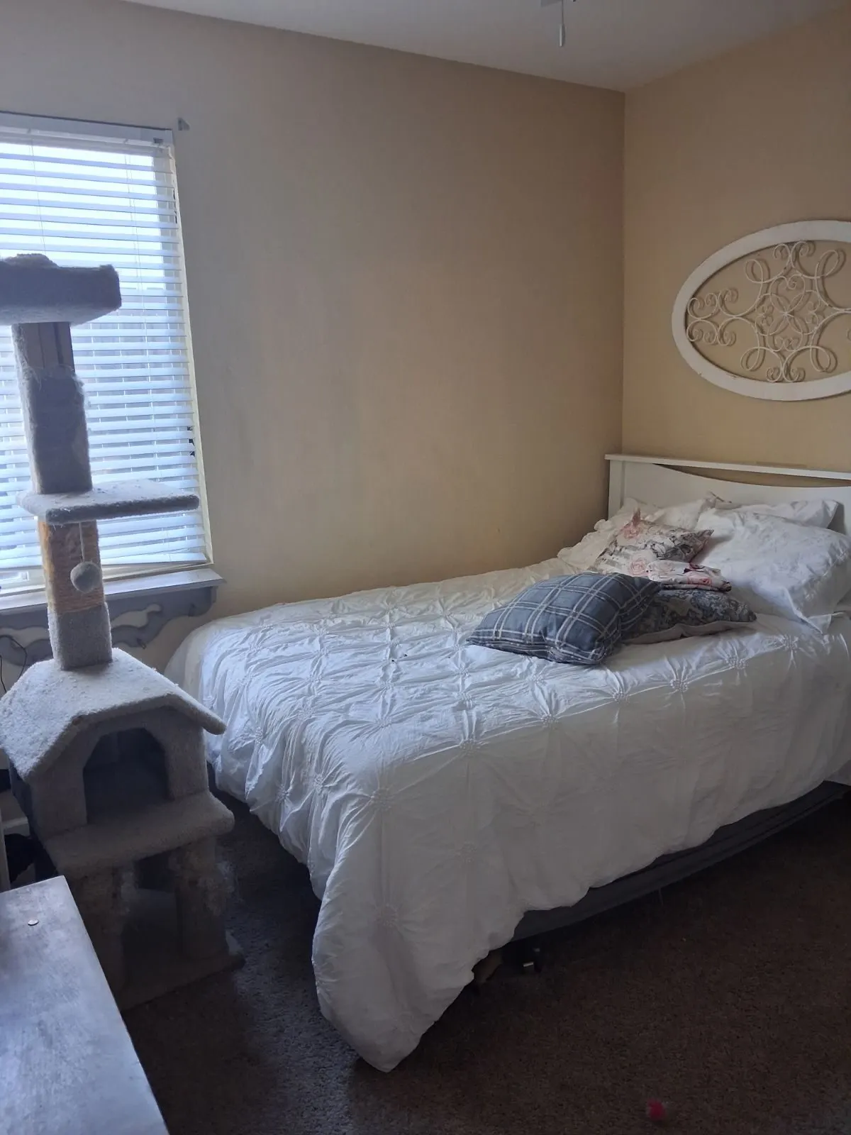 Before — House Cleaning in Folsom, CA — October 2026