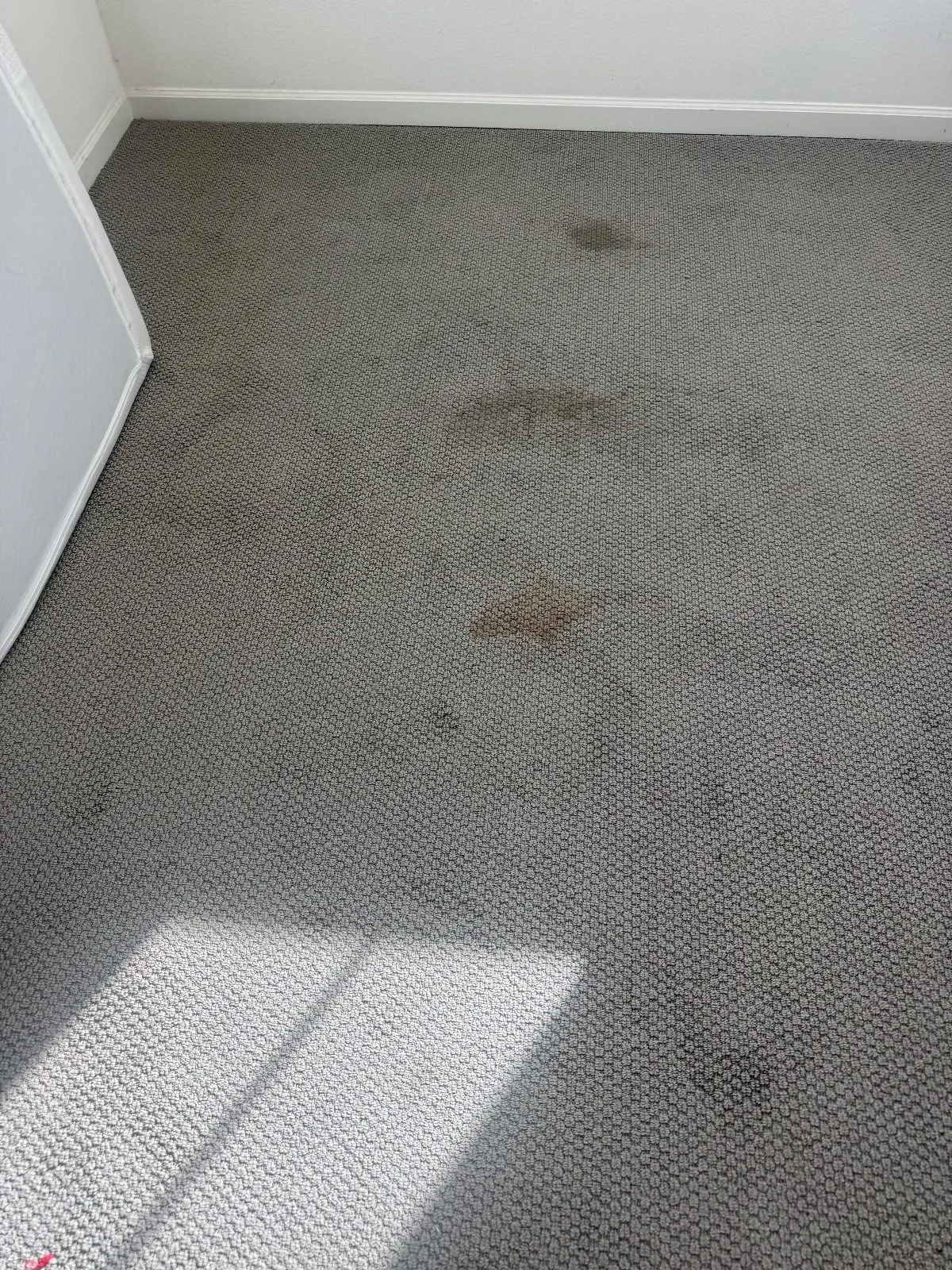 Before — House Cleaning in Woodland, CA — October 2026
