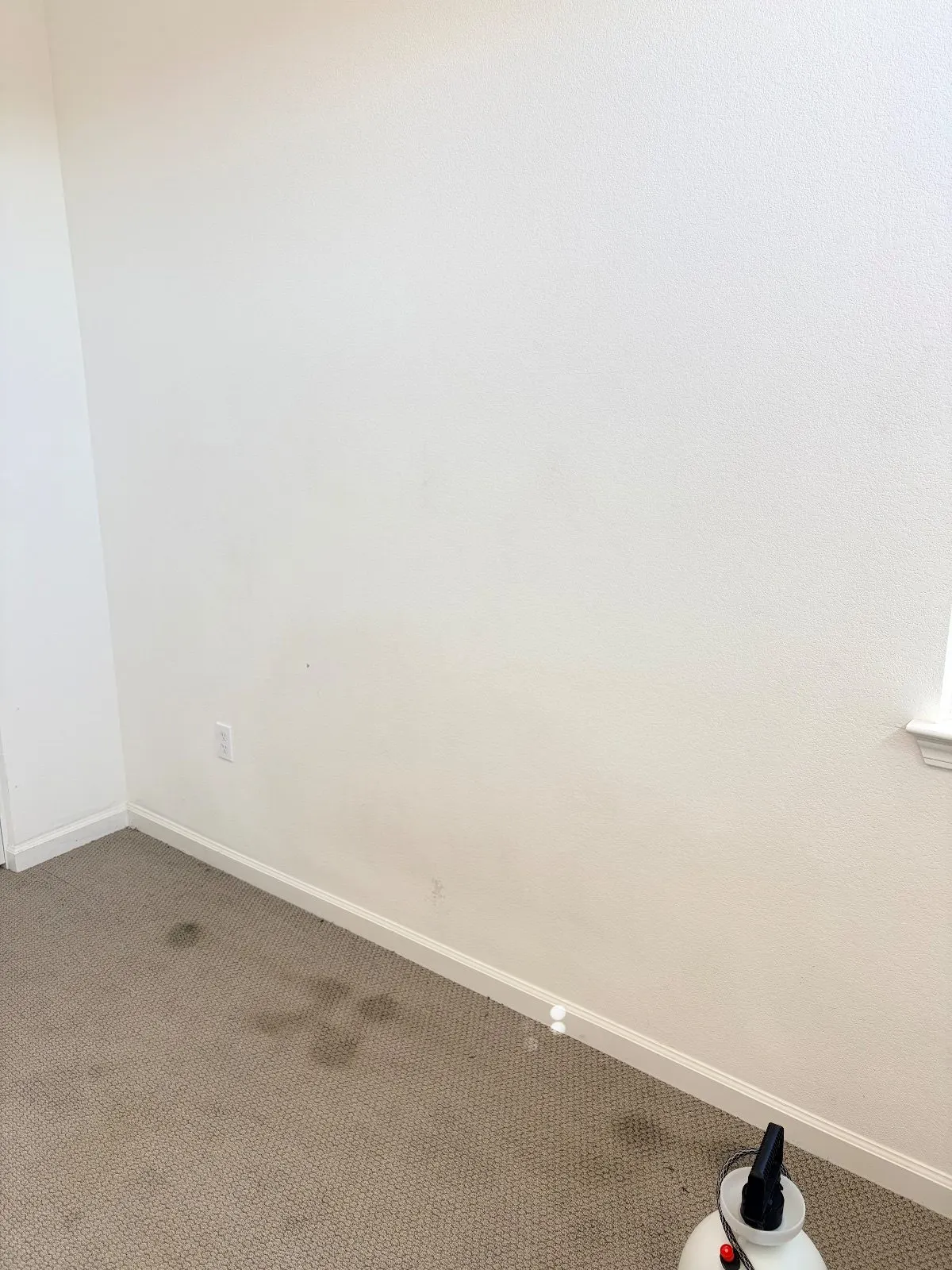 After — House Cleaning in Woodland, CA — October 2026