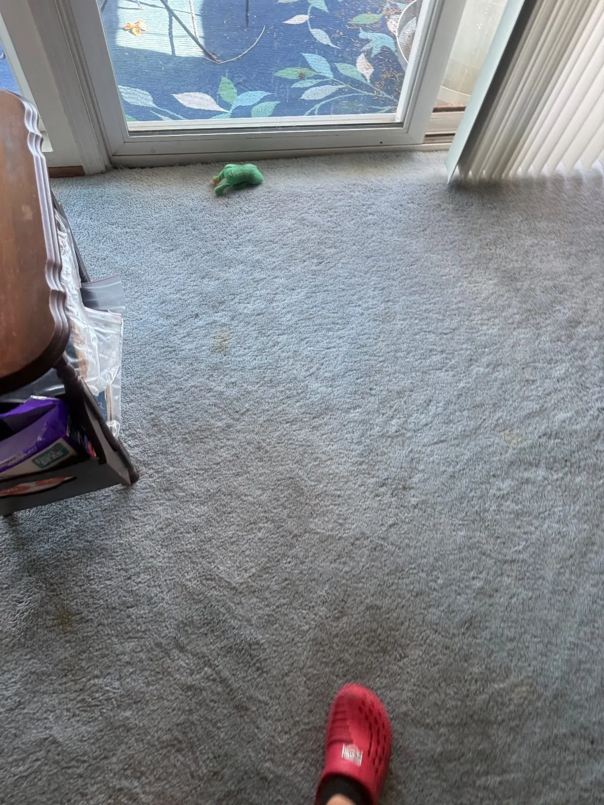 Before — Carpet Cleaning in Shingle Springs, CA — October 2026
