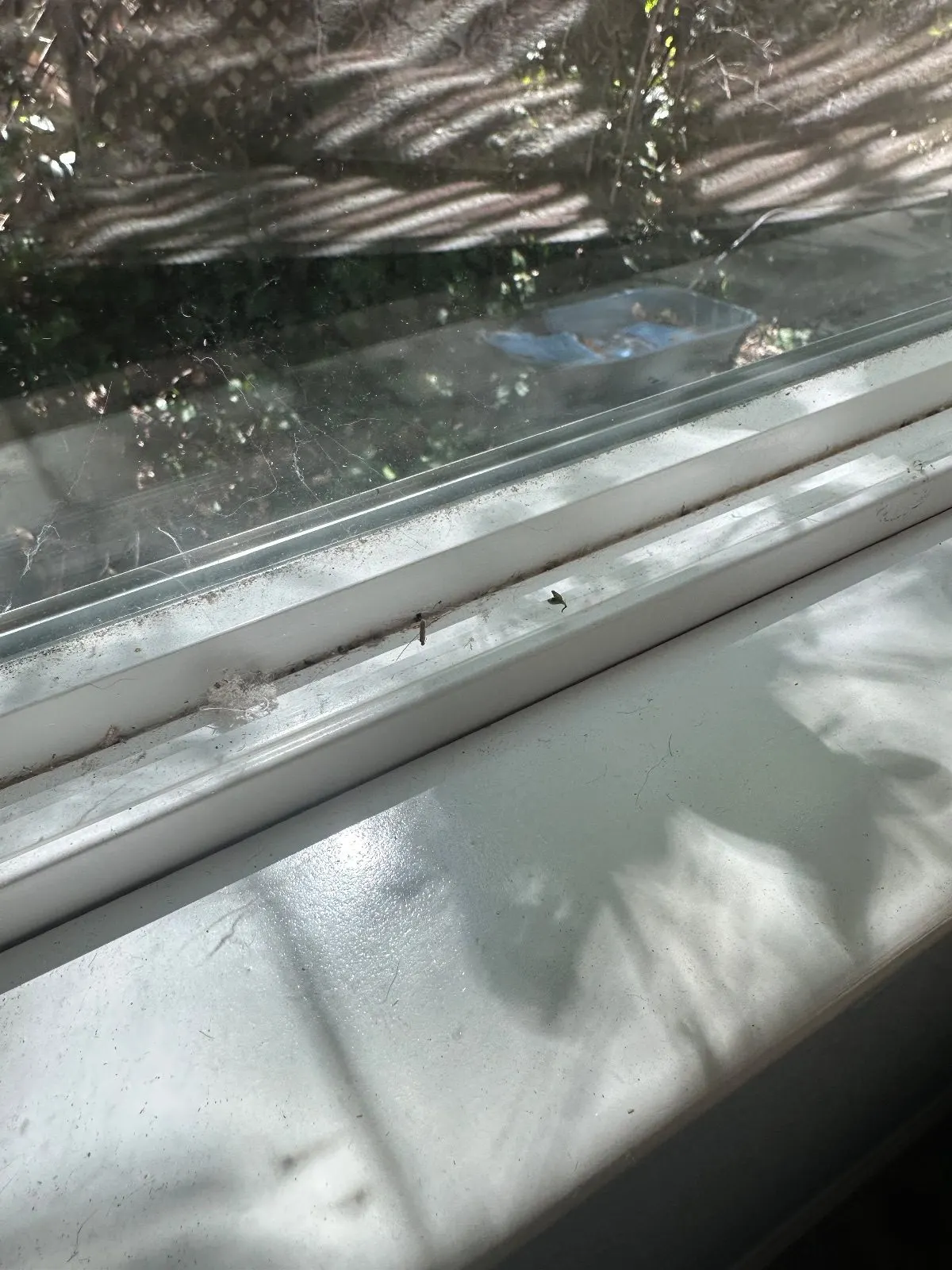 Before — House Cleaning in Folsom, CA — July 2026
