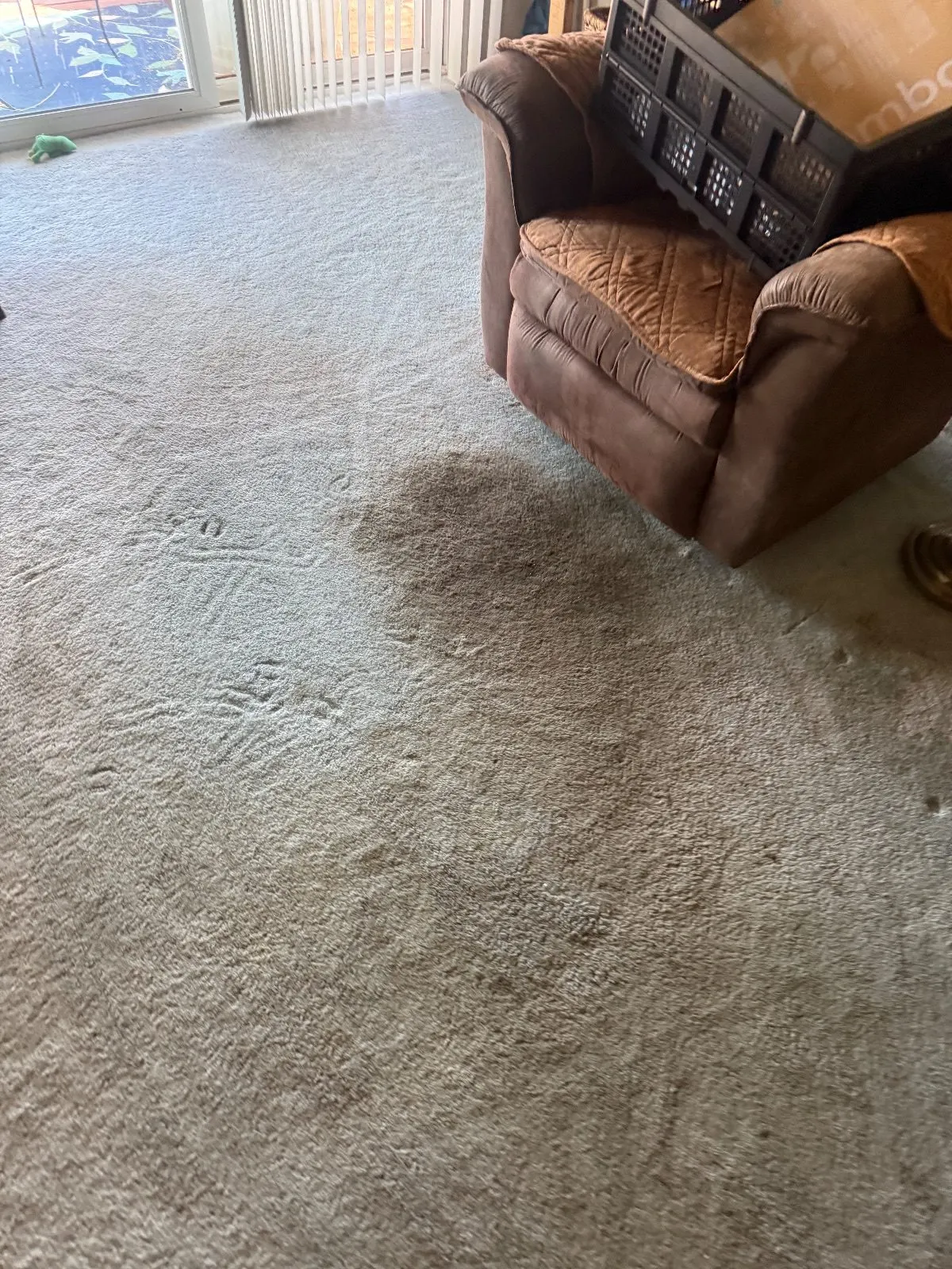 Before — Carpet Cleaning in Shingle Springs, CA — October 2026