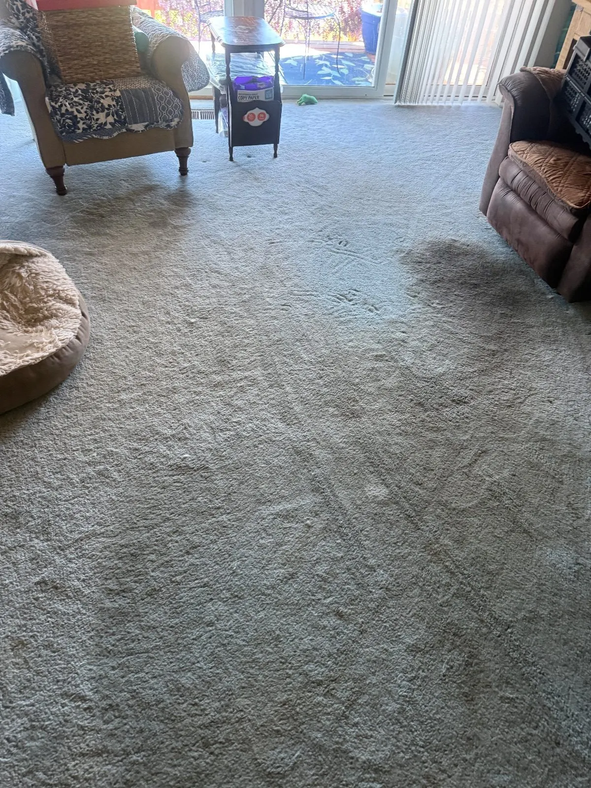 Before — Carpet Cleaning in Shingle Springs, CA — October 2026