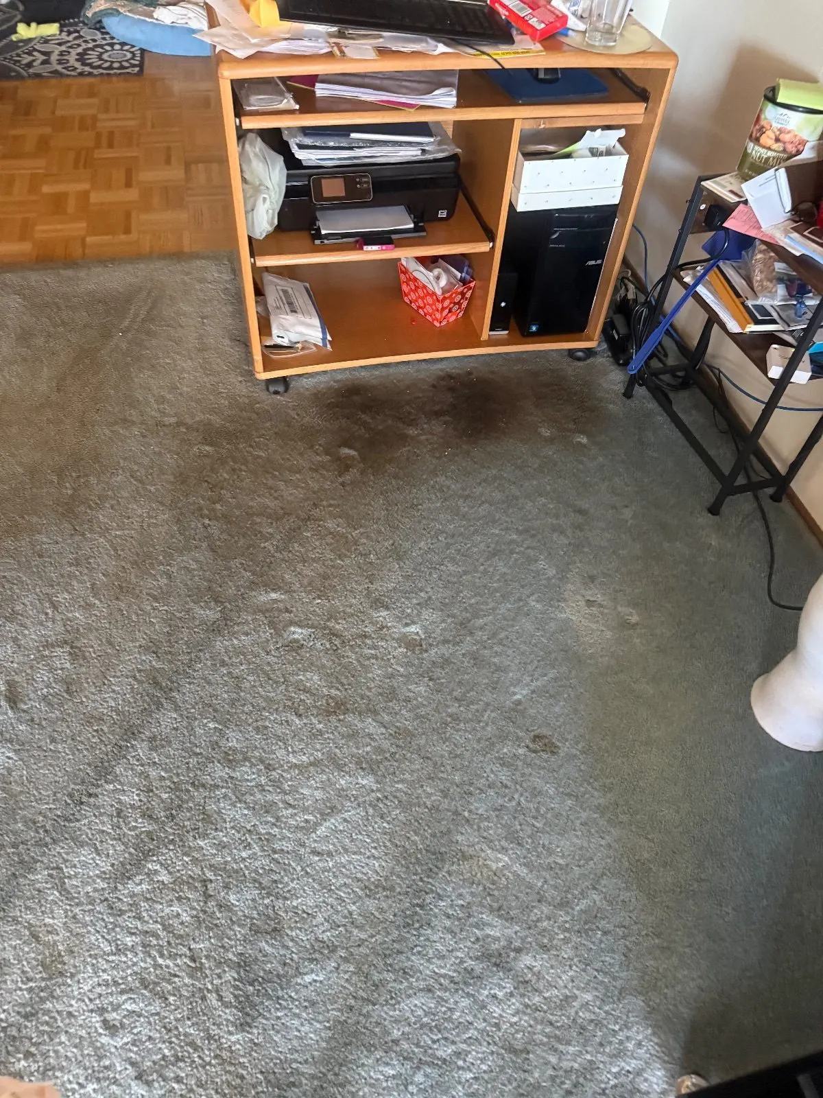 Before — Carpet Cleaning in Shingle Springs, CA — October 2026