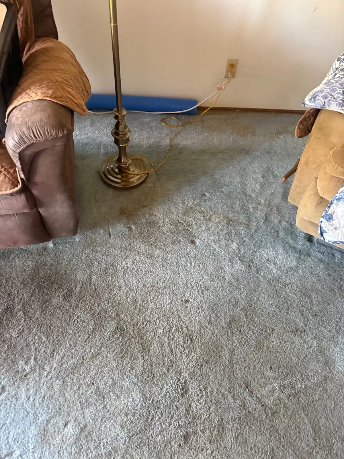 Before — Carpet Cleaning in Shingle Springs, CA — October 2026
