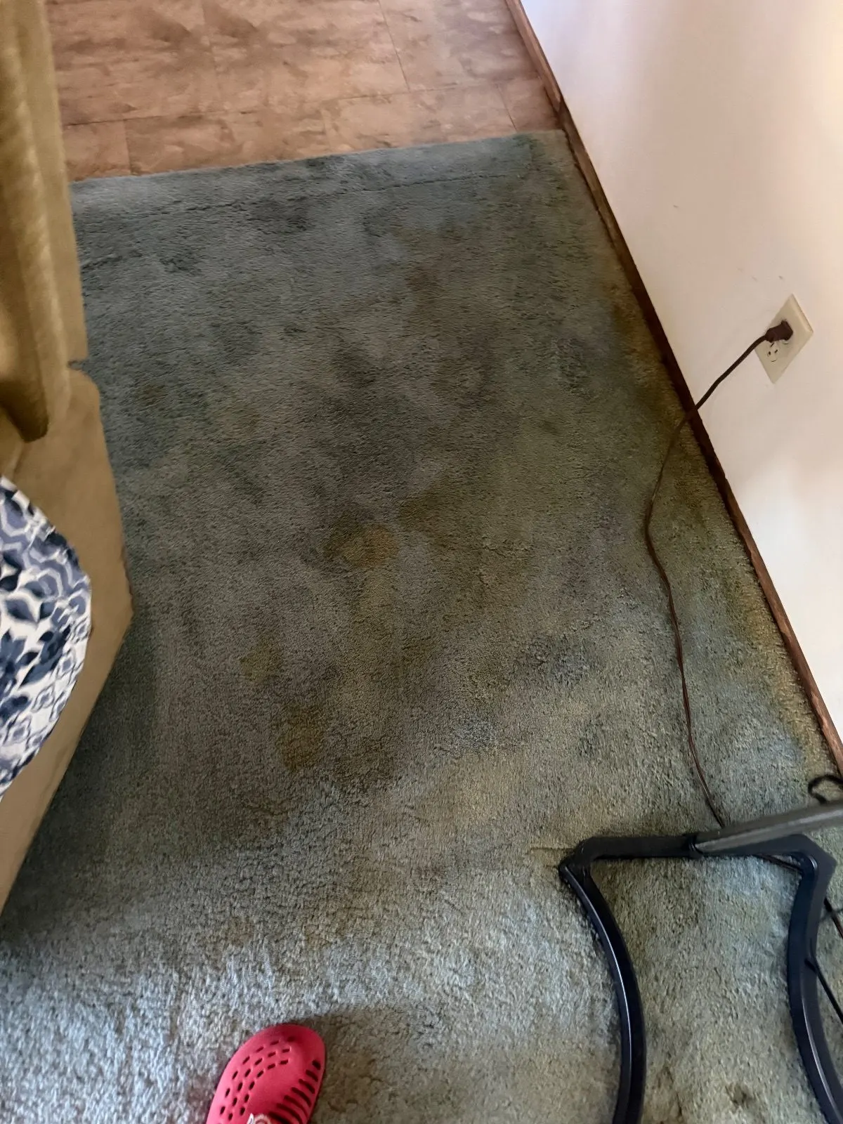 Before — Carpet Cleaning in Shingle Springs, CA — October 2026