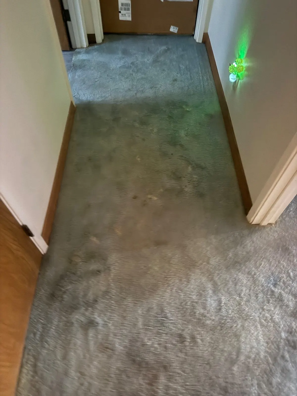 Before — Carpet Cleaning in Shingle Springs, CA — October 2026