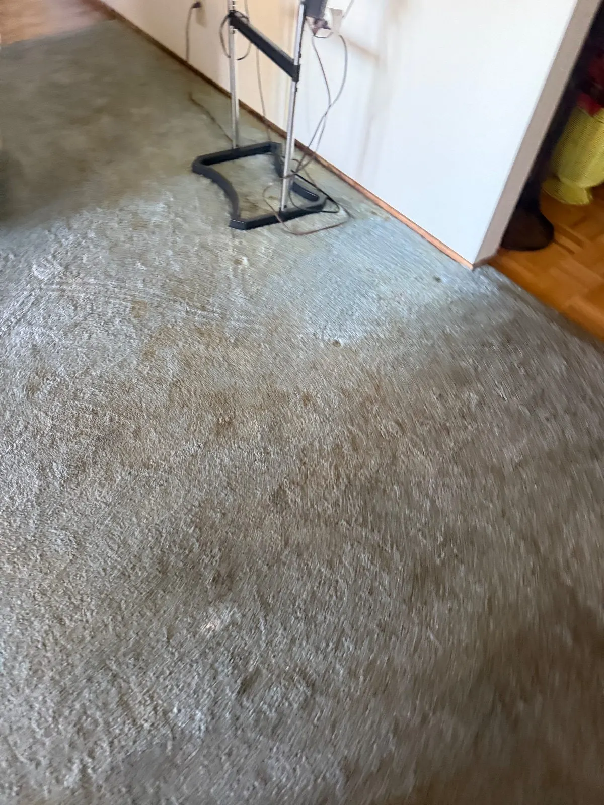 Before — Carpet Cleaning in Shingle Springs, CA — October 2026