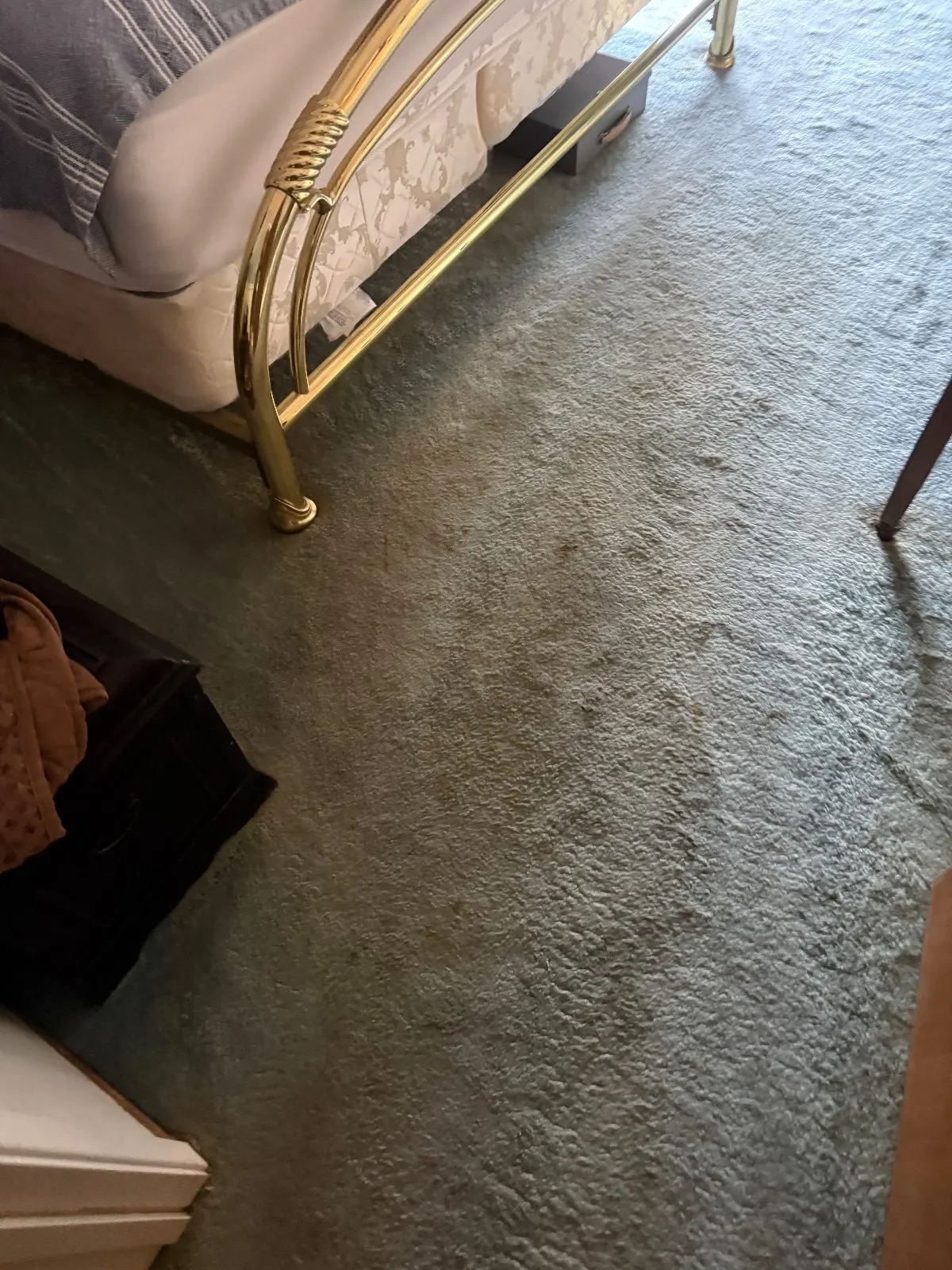 Before — Carpet Cleaning in Shingle Springs, CA — October 2026