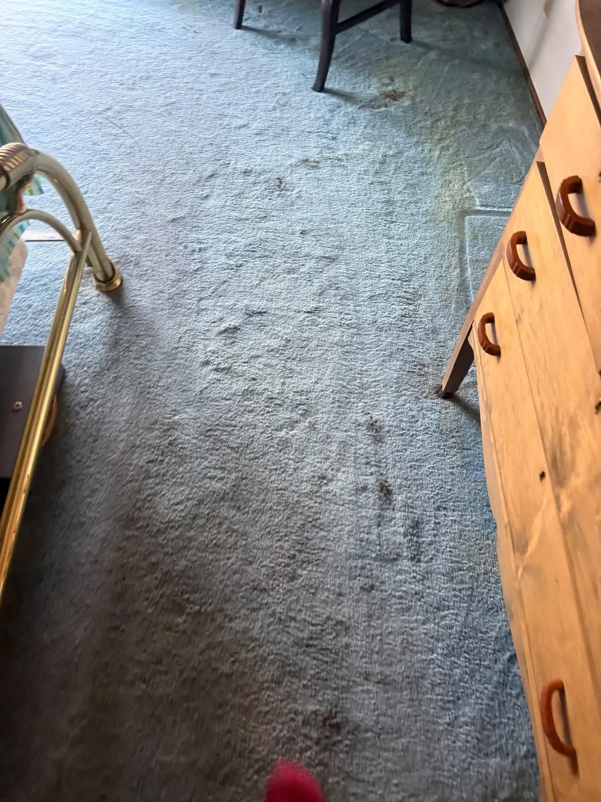 Before — Carpet Cleaning in Shingle Springs, CA — October 2026