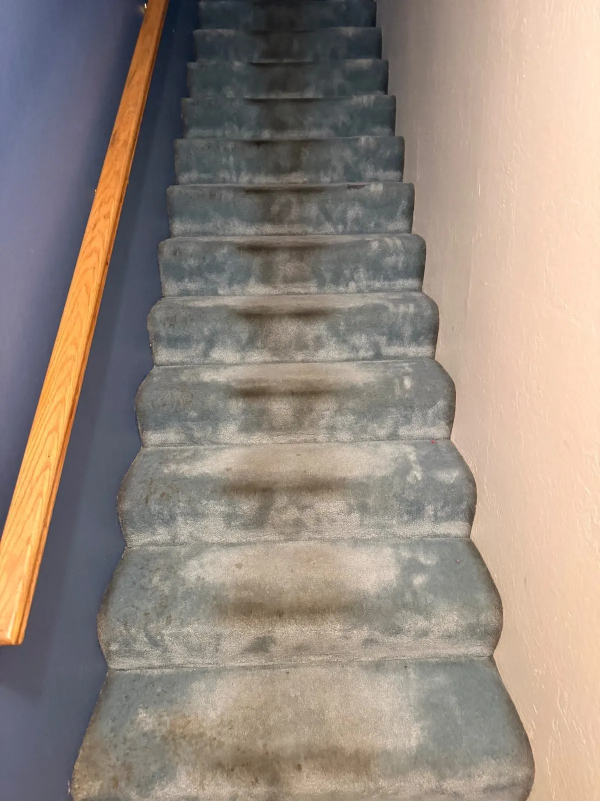 Before — Carpet Cleaning in Shingle Springs, CA — October 2026