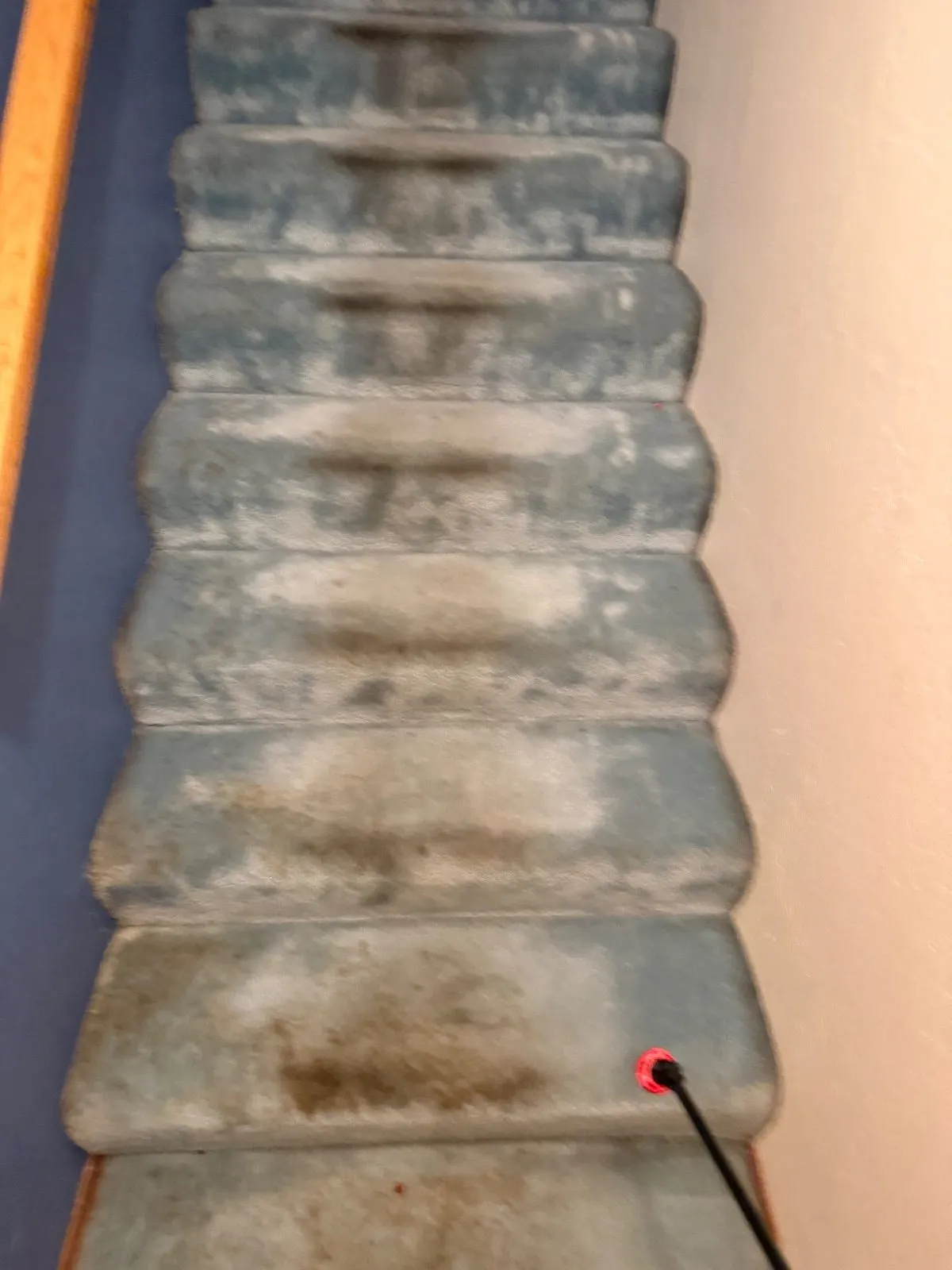 Before — Carpet Cleaning in Shingle Springs, CA — October 2026