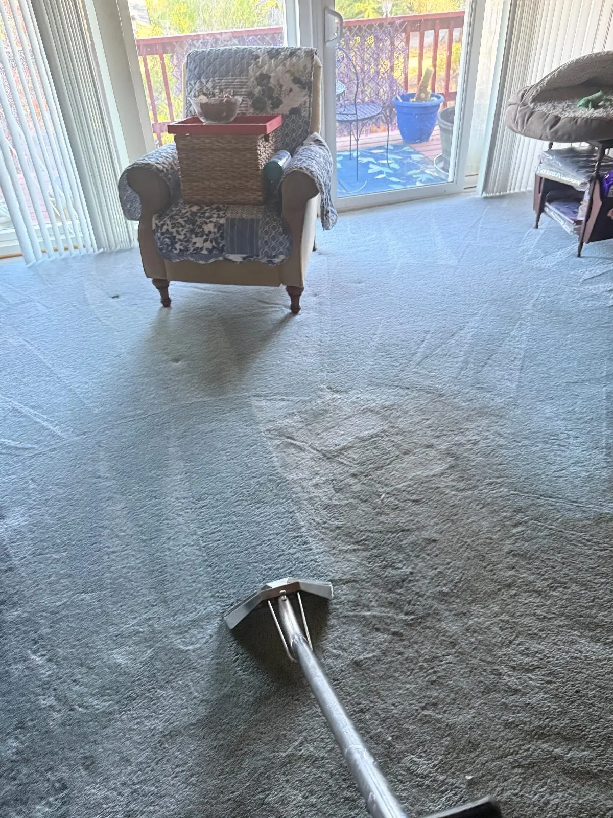 Before — Carpet Cleaning in Shingle Springs, CA — October 2026